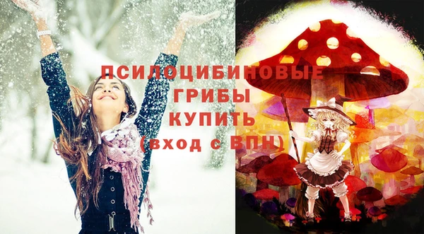 стафф Абинск