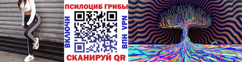 Псилоцибиновые грибы GOLDEN TEACHER  Россошь 